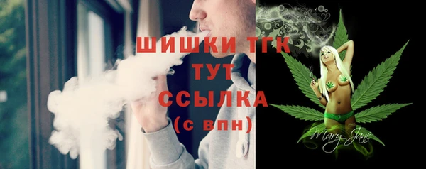 прущие грибы Заводоуковск