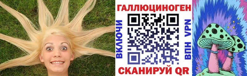 как найти наркотики  Стародуб  Псилоцибиновые грибы Cubensis 